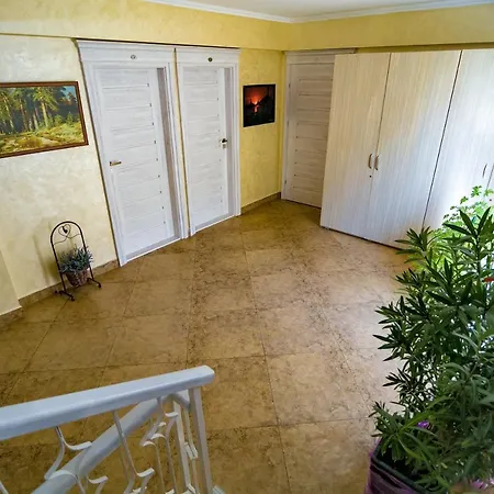 Floare De Iris 3* Vama Veche