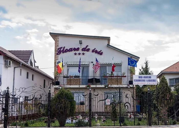 Floare De Iris Vama Veche