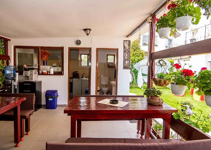 Floare De Iris Vama Veche