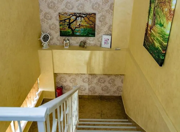 Floare De Iris Vama Veche