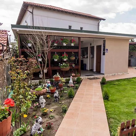 Guest house Floare De Iris