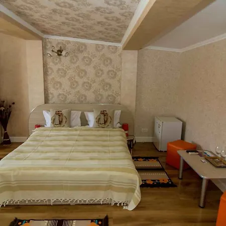 Floare De Iris Guest house 3*