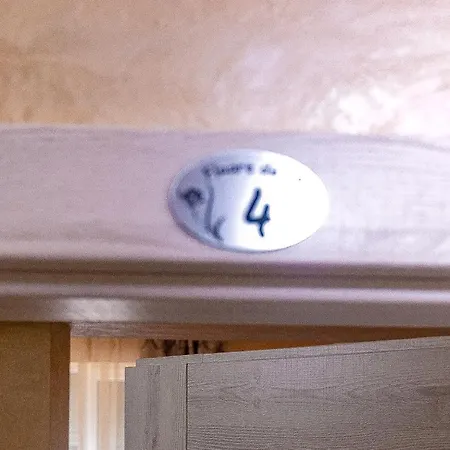 Guest house Floare De Iris