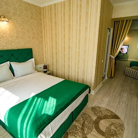 Guest house Floare De Iris