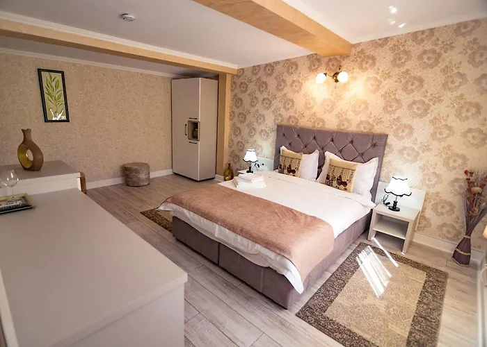 Vendégház Floare De Iris Vama Veche