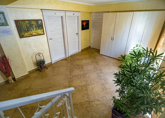 Floare De Iris 3* Vama Veche